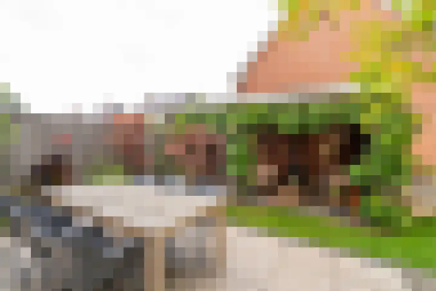 Marie Baronstraat 22 Tilburg thumbnail 59