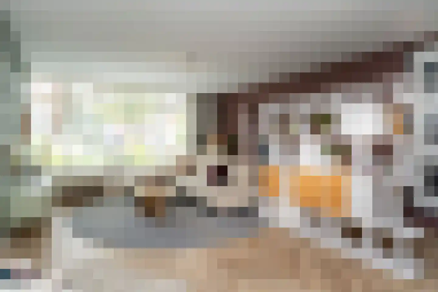 Marie Baronstraat 22 Tilburg thumbnail 6