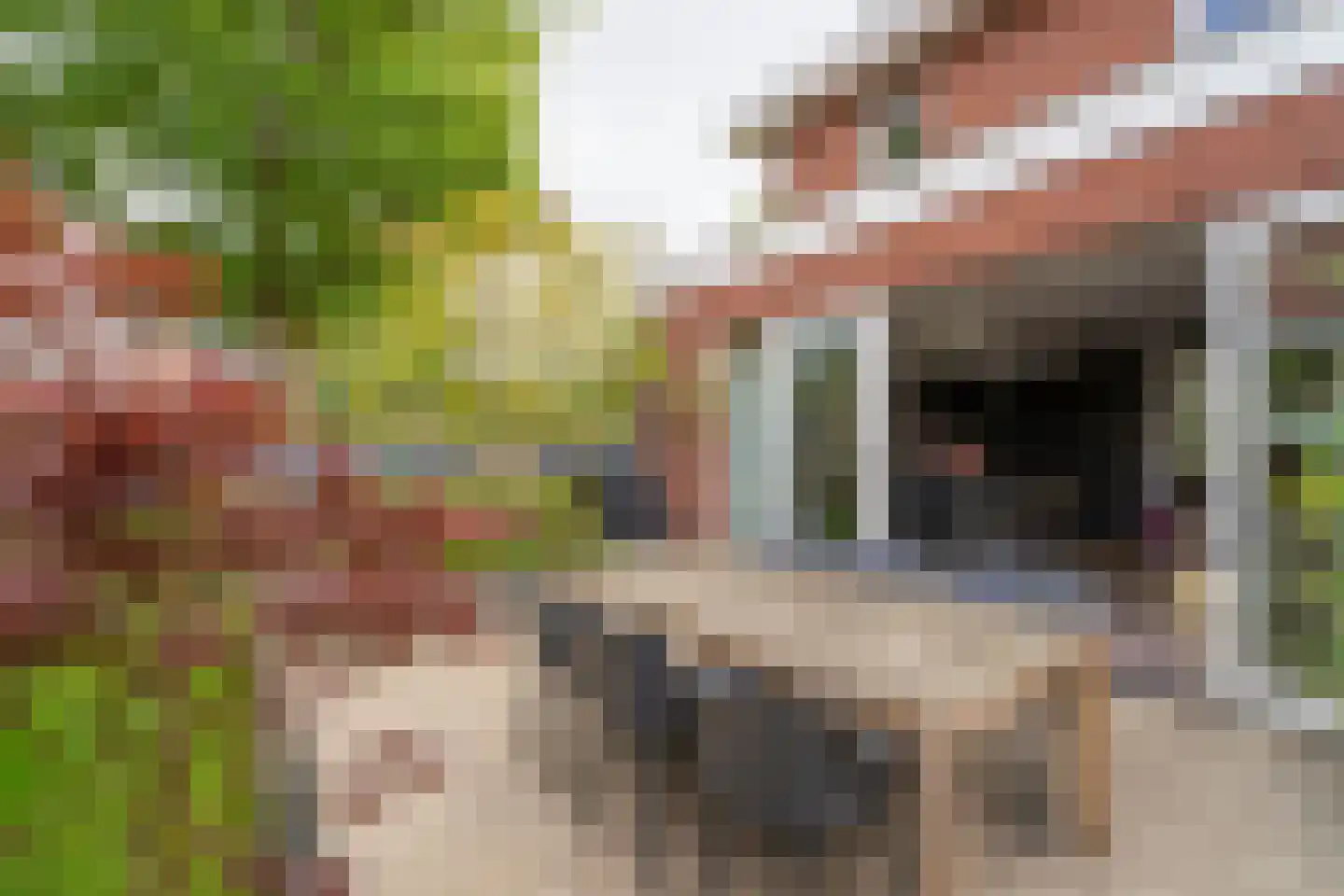 Marie Baronstraat 22 Tilburg thumbnail 62