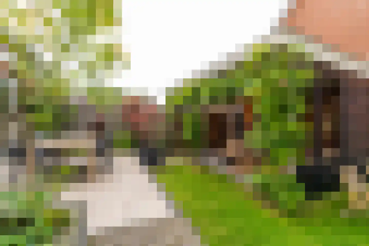 Marie Baronstraat 22 Tilburg thumbnail 66