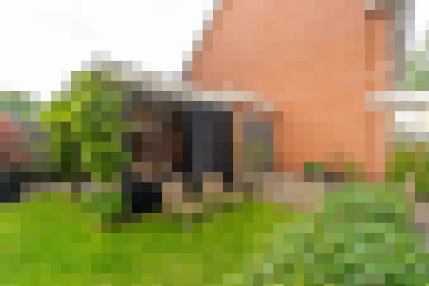 Marie Baronstraat 22 Tilburg thumbnail 68