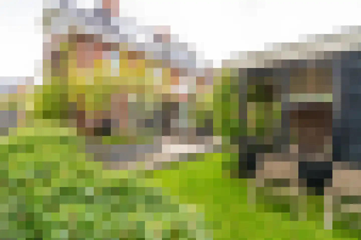 Marie Baronstraat 22 Tilburg thumbnail 69
