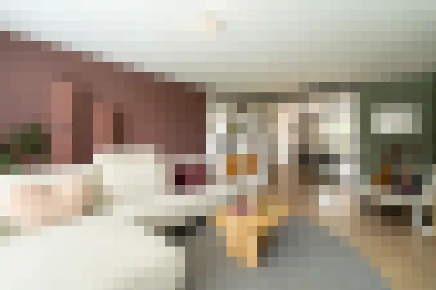 Marie Baronstraat 22 Tilburg thumbnail 7