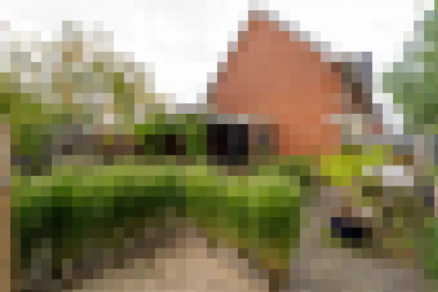 Marie Baronstraat 22 Tilburg thumbnail 73