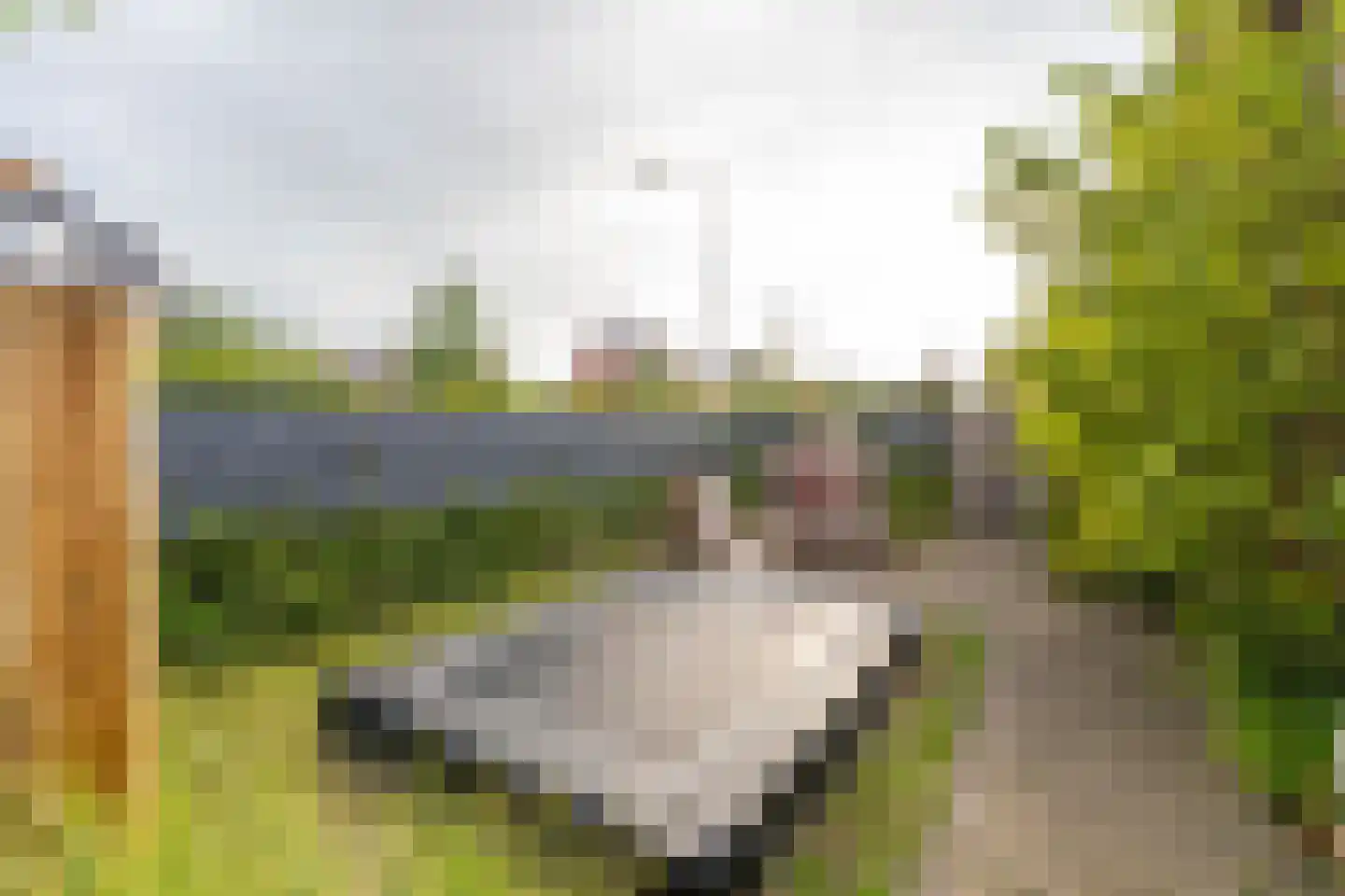 Marie Baronstraat 22 Tilburg thumbnail 75