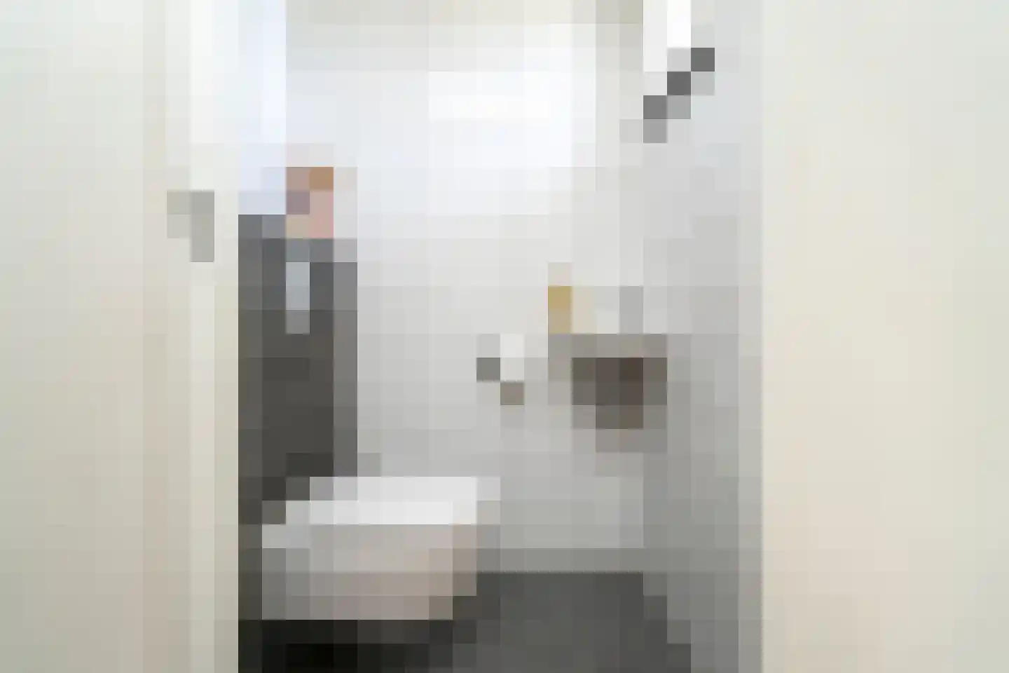 Marie Baronstraat 23 Tilburg thumbnail 14