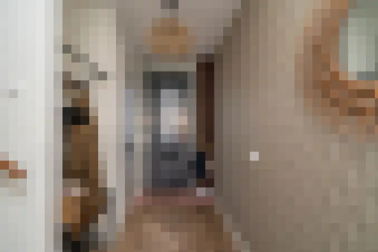 Marie Baronstraat 23 Tilburg thumbnail 15