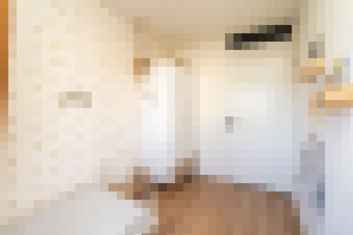 Marie Baronstraat 23 Tilburg thumbnail 25