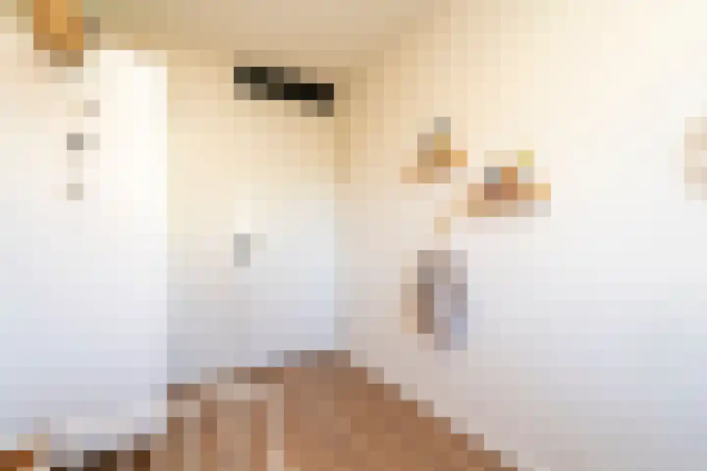 Marie Baronstraat 23 Tilburg thumbnail 26