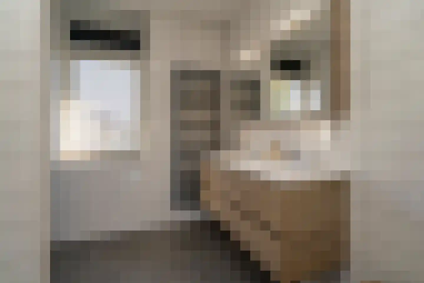 Marie Baronstraat 23 Tilburg thumbnail 32