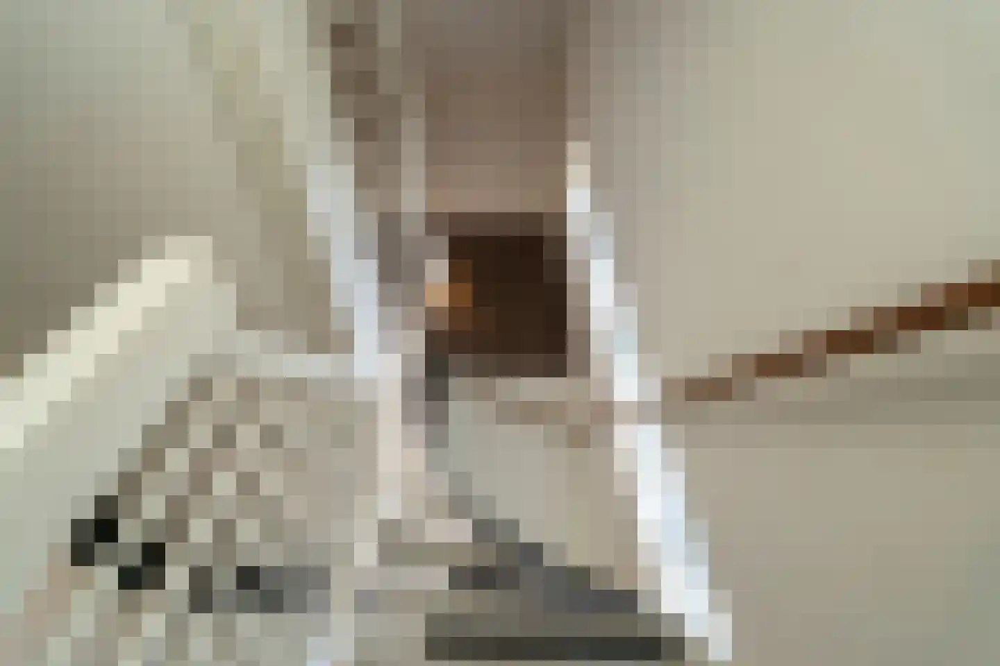 Marie Baronstraat 23 Tilburg thumbnail 37