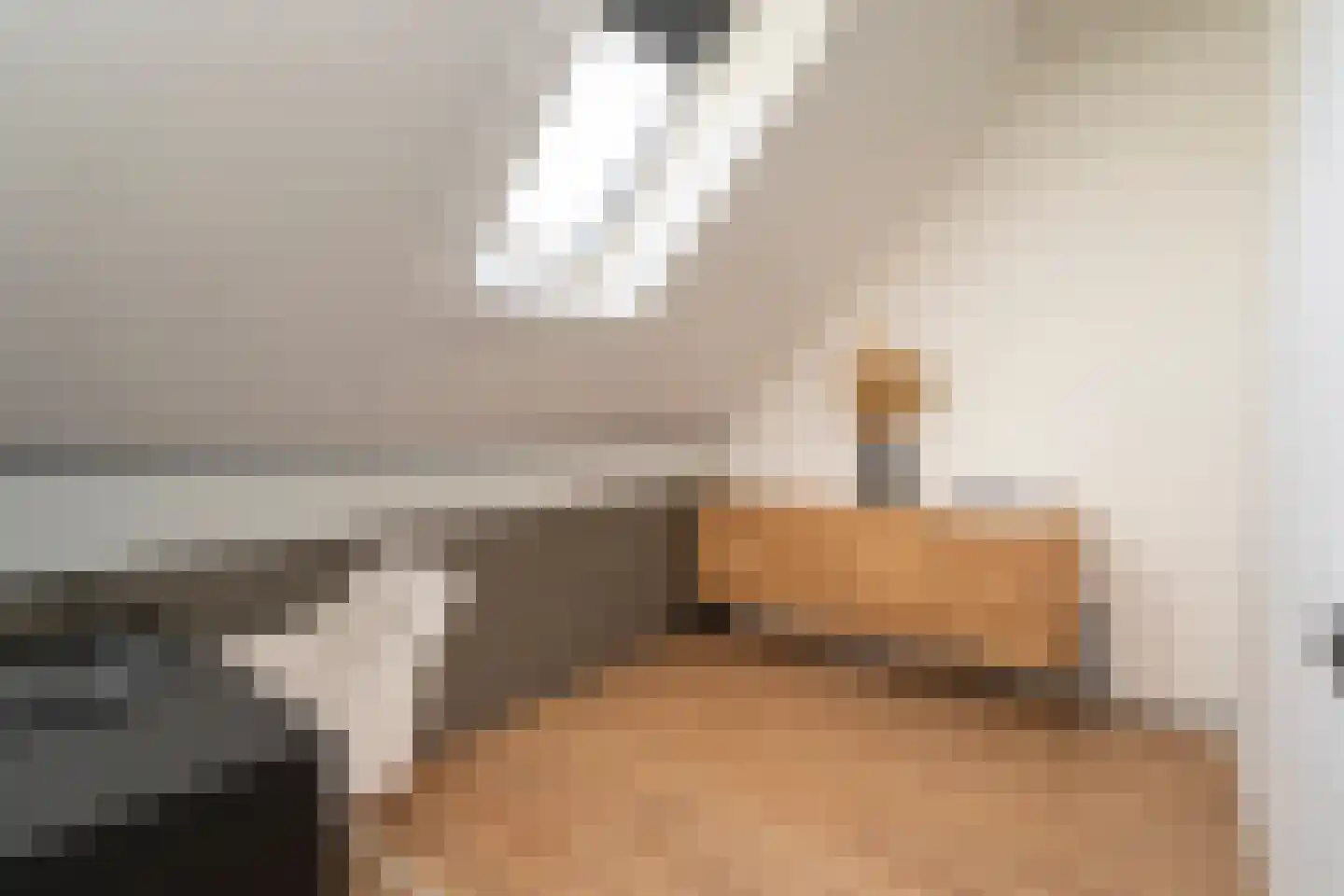 Marie Baronstraat 23 Tilburg thumbnail 43