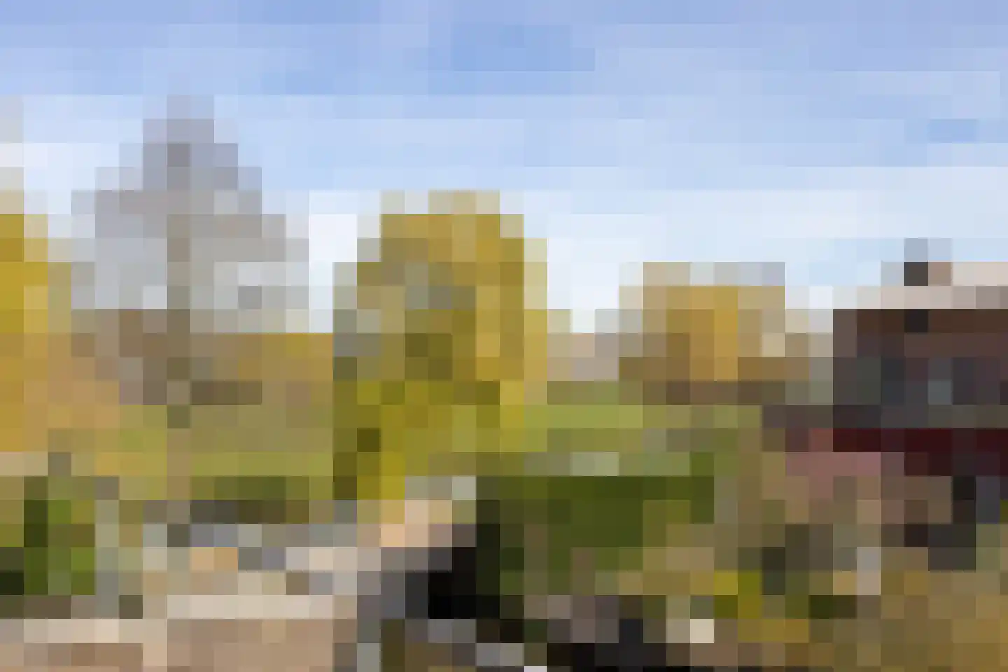 Marie Baronstraat 4 Rotterdam thumbnail 26