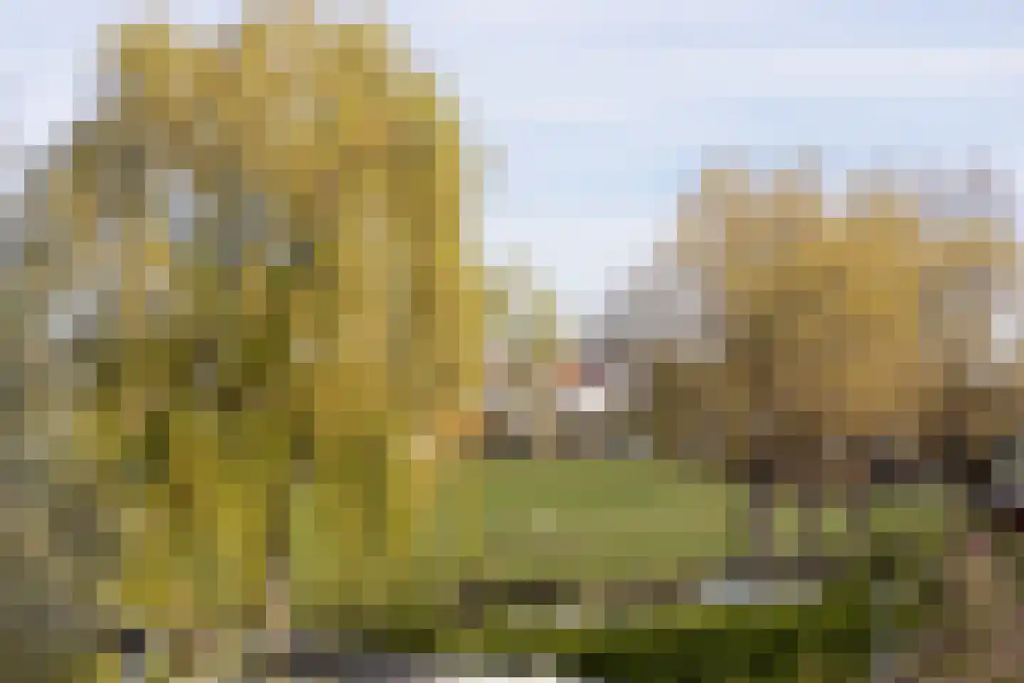 Marie Baronstraat 4 Rotterdam thumbnail 27