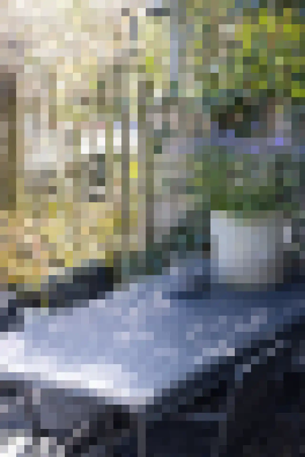 Marie Baronstraat 4 Rotterdam thumbnail 44