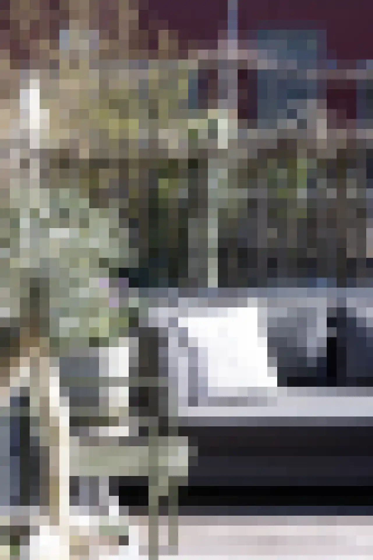 Marie Baronstraat 4 Rotterdam thumbnail 11