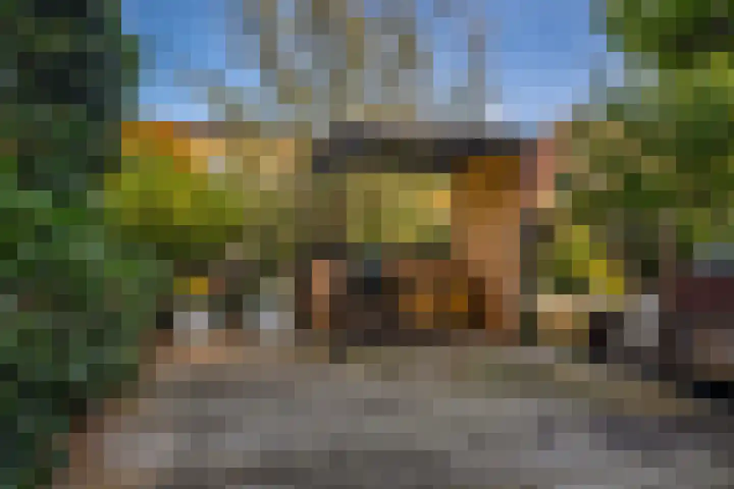 Marie Baronstraat 8 Rotterdam thumbnail 28