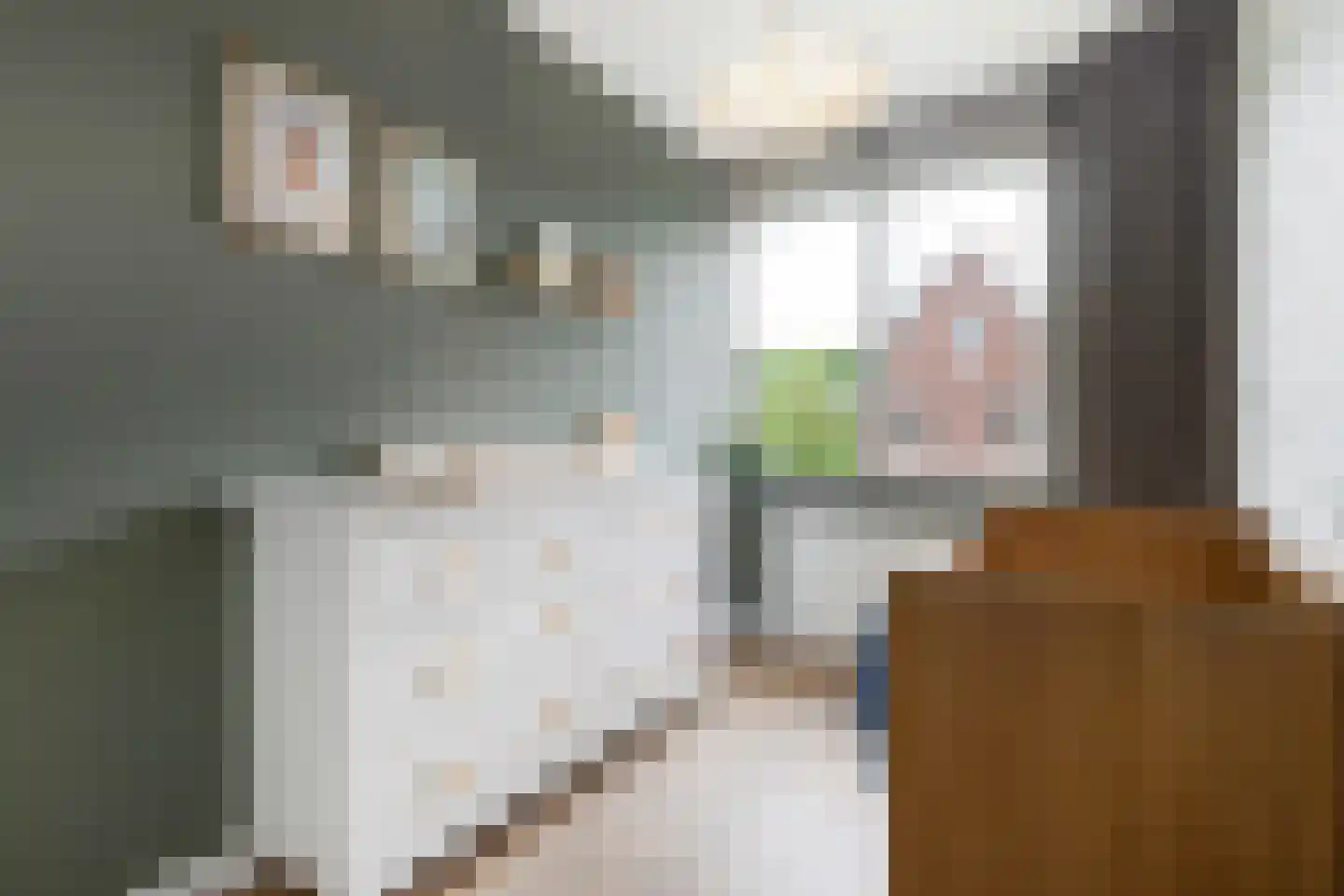 Marie Baronstraat 9 Tilburg thumbnail 27
