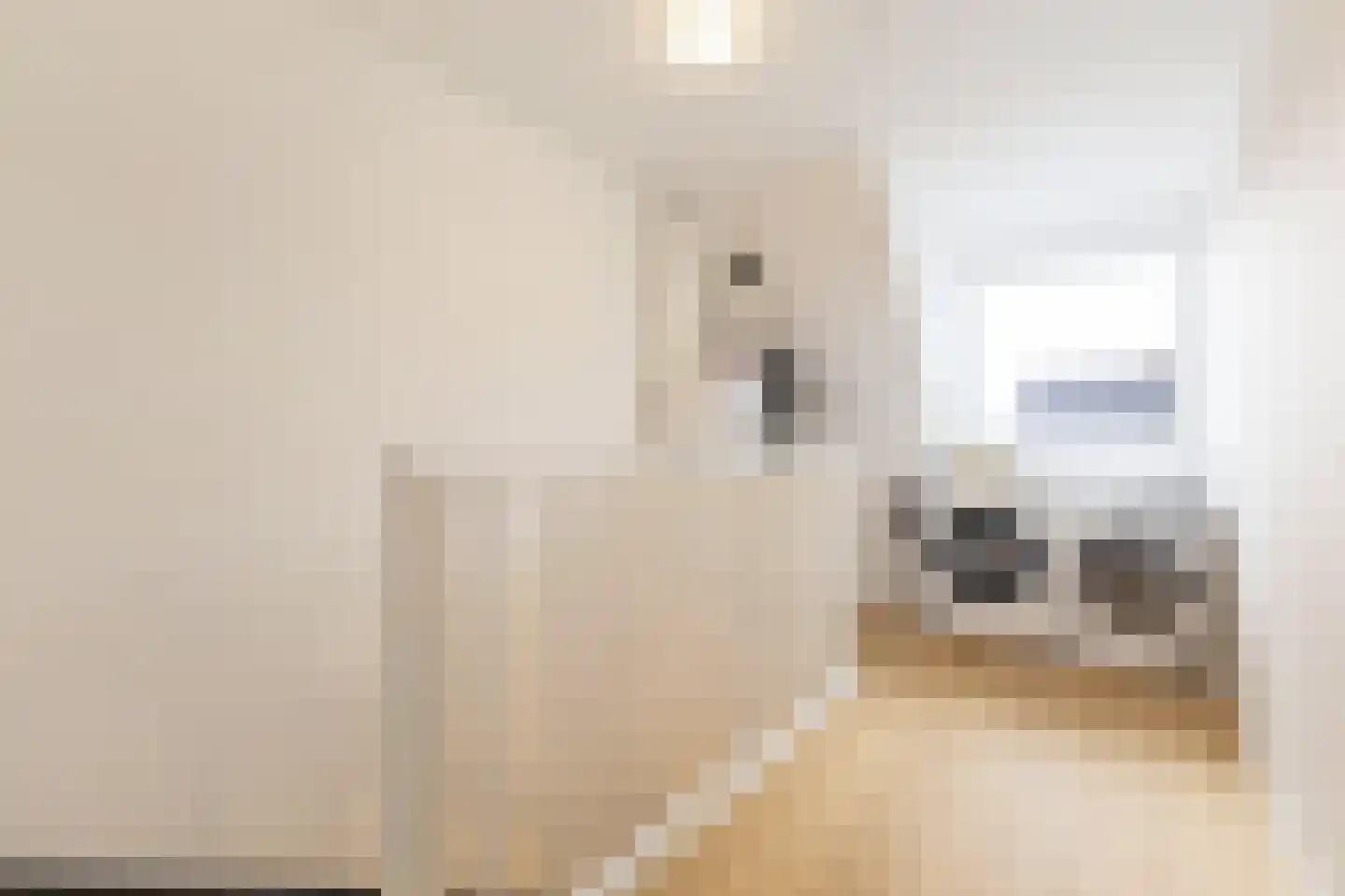 Marie Baronstraat 9 Tilburg thumbnail 38