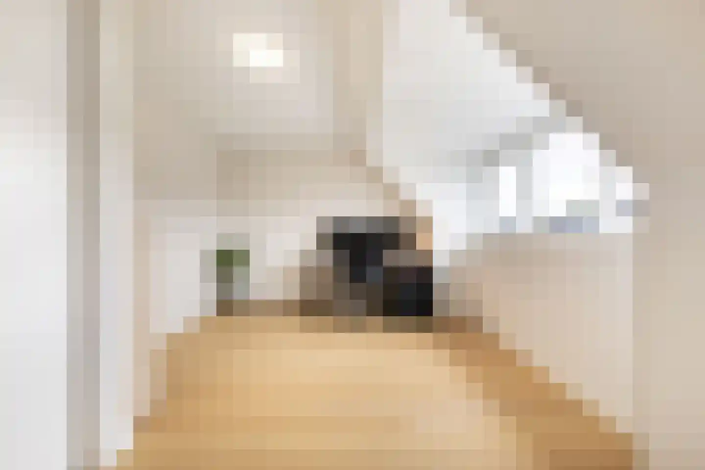 Marie Baronstraat 9 Tilburg thumbnail 43