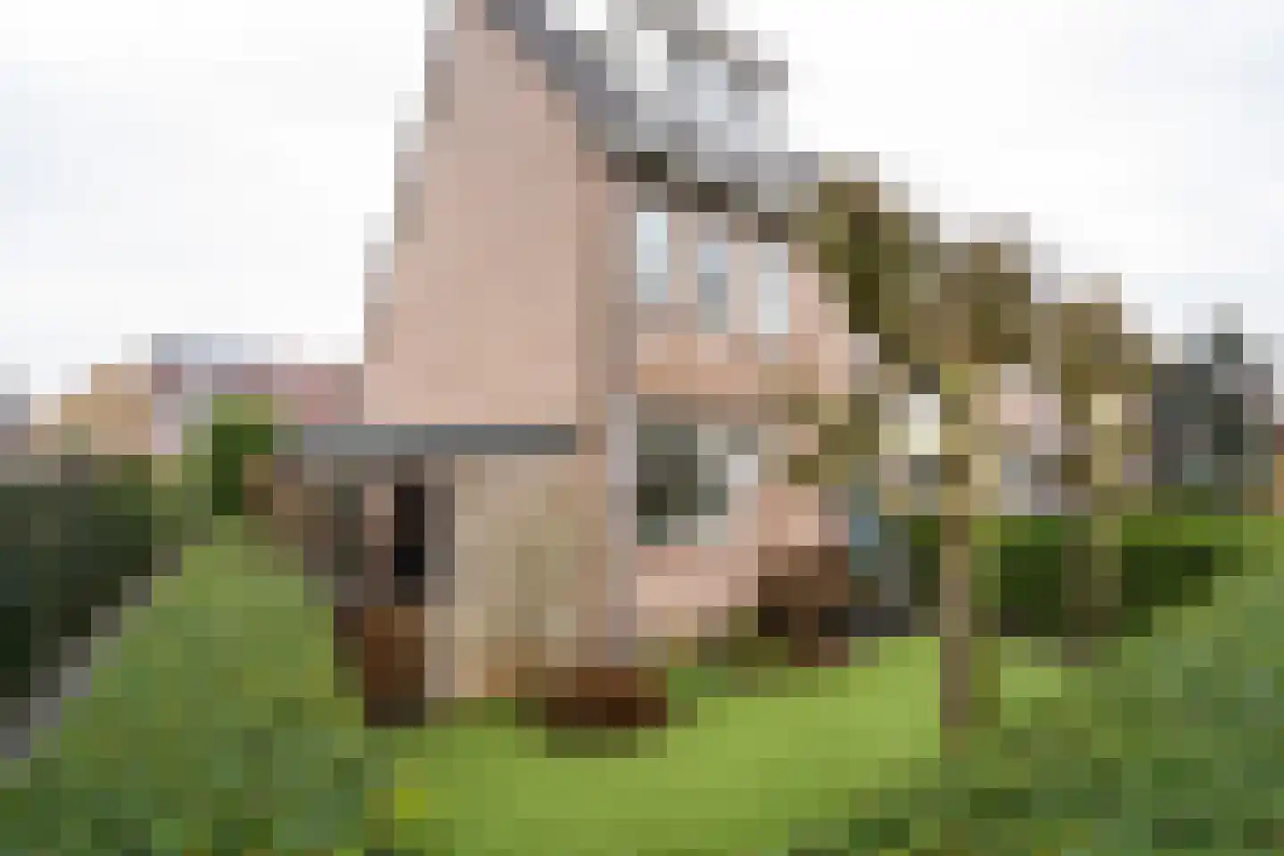 Marie Boddaertstraat 24 Gorinchem thumbnail 28