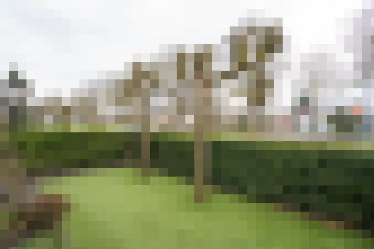 Marie Boddaertstraat 24 Gorinchem thumbnail 30