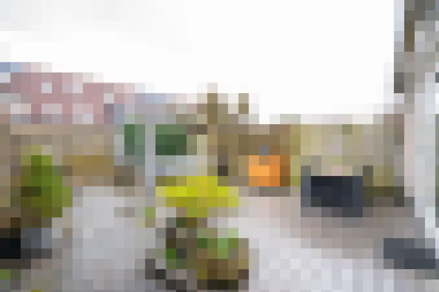 Marie Boddaertstraat 24 Gorinchem thumbnail 4