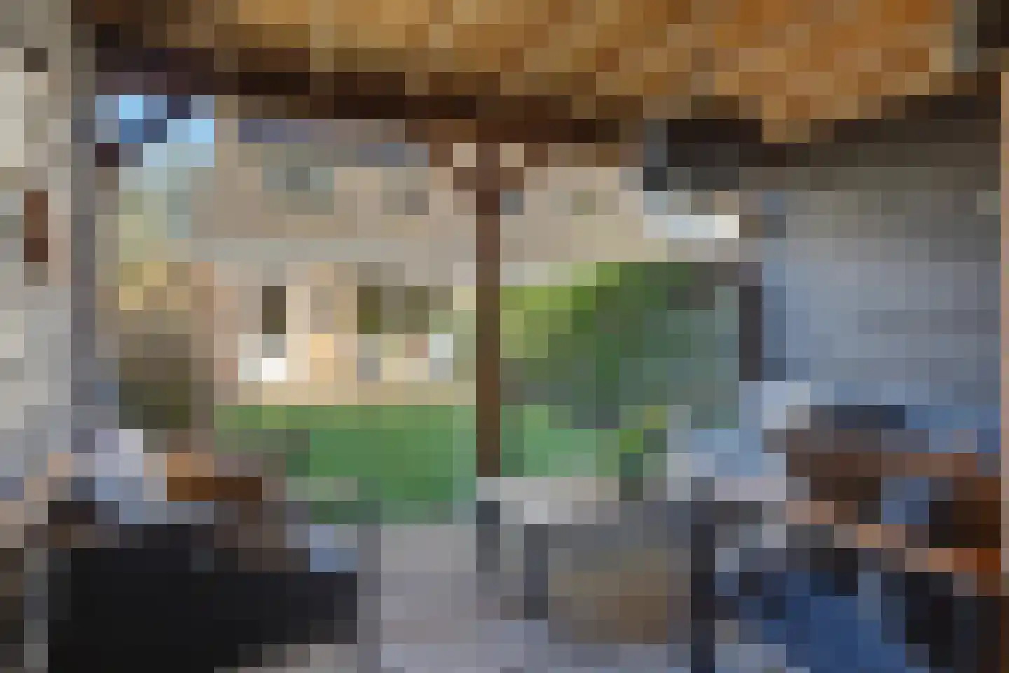 Marie Boddaertstraat 26 Gorinchem thumbnail 39