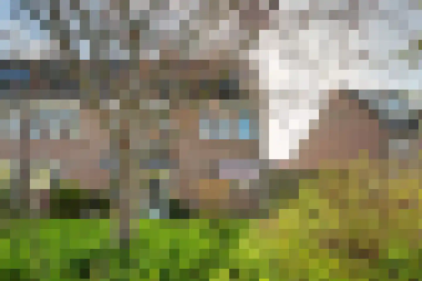 Marie Boddaertstraat 26 Gorinchem thumbnail 42