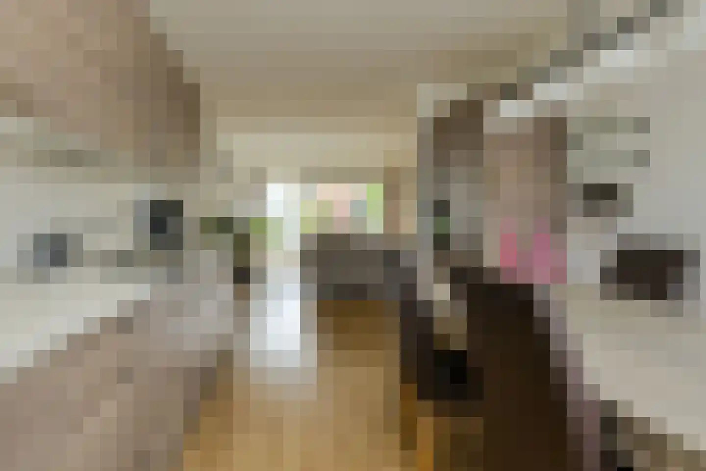 Marie Curiehof 10 Oosterhout thumbnail 16