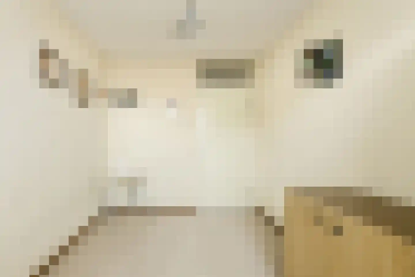 Marie Curiehof 10 Oosterhout thumbnail 34