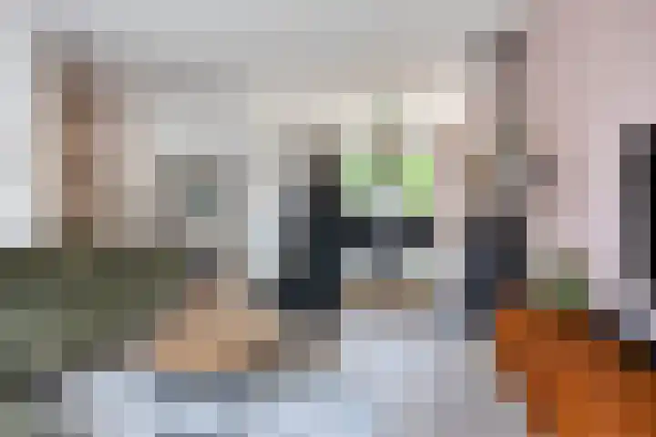 Marie Curielaan 1 IJsselmuiden thumbnail 11