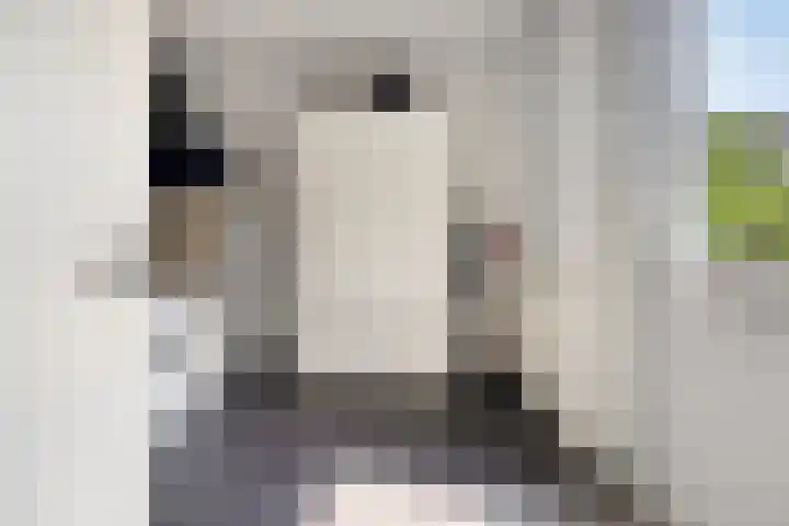Marie Curielaan 1 IJsselmuiden thumbnail 23