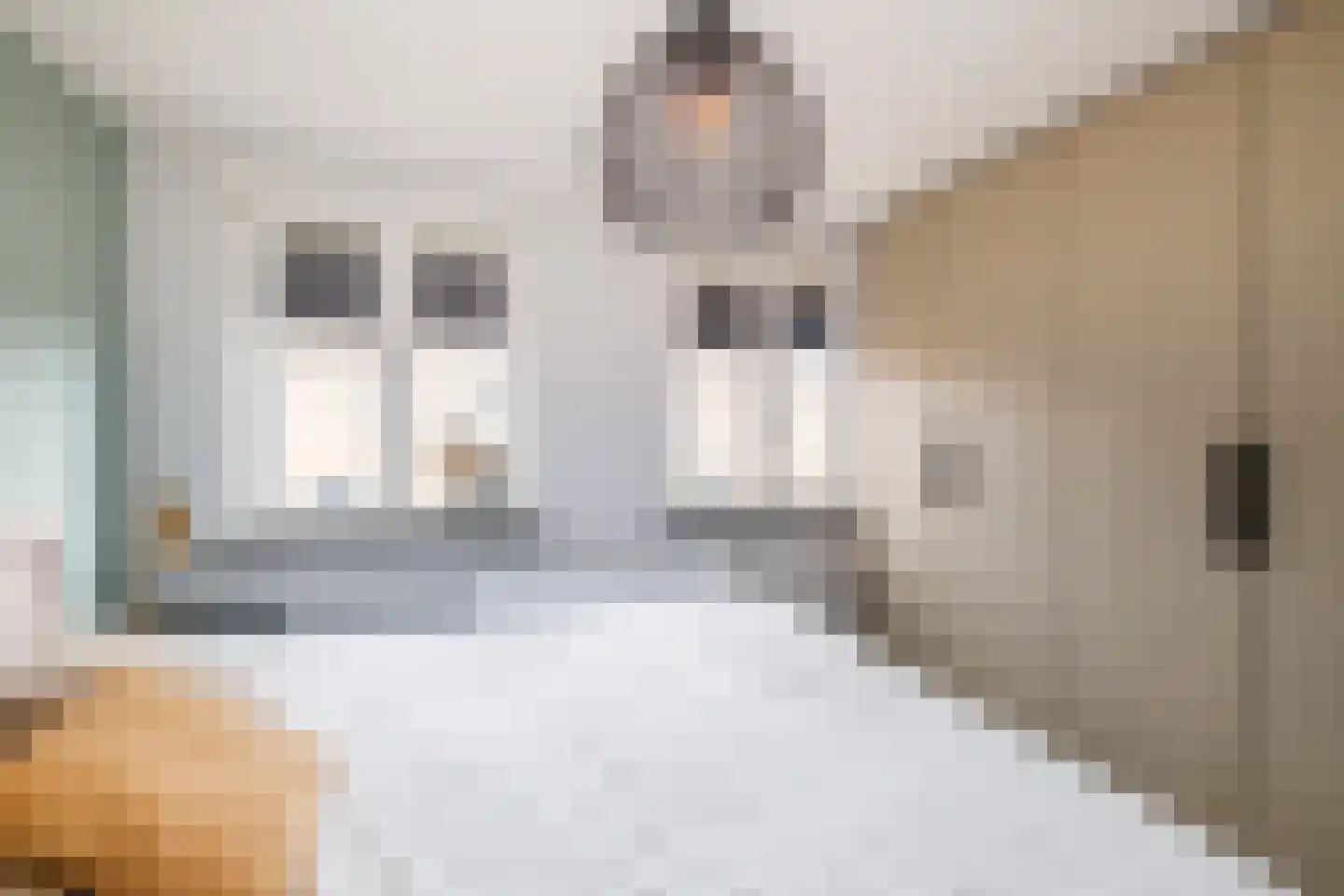 Marie Curielaan 12 IJsselmuiden thumbnail 21