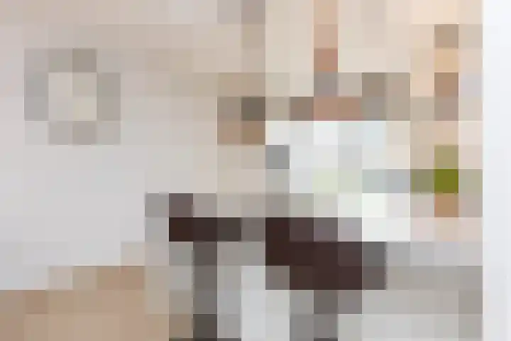 Marie Curielaan 134 Almere thumbnail 19