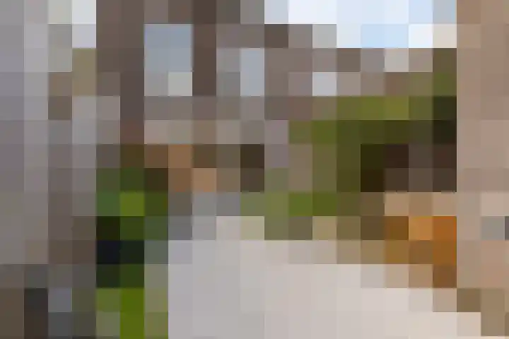 Marie Curielaan 134 Almere thumbnail 28