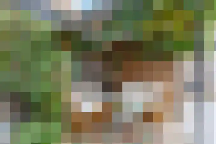 Marie Curielaan 134 Almere thumbnail 30