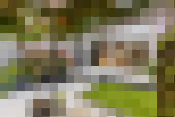 Marie Curielaan 134 Almere thumbnail 31