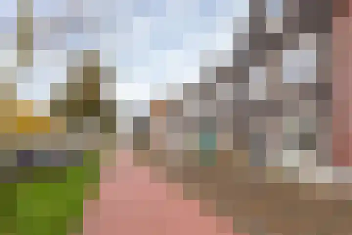 Marie Curielaan 134 Almere thumbnail 9