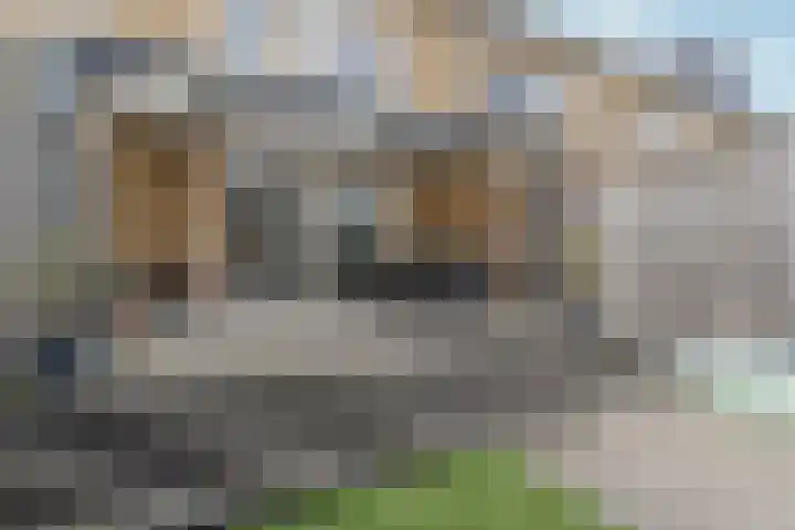 Marie Curielaan 148 Almere thumbnail 36