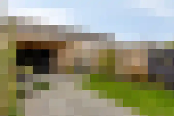 Marie Curielaan 15 IJsselmuiden thumbnail 31