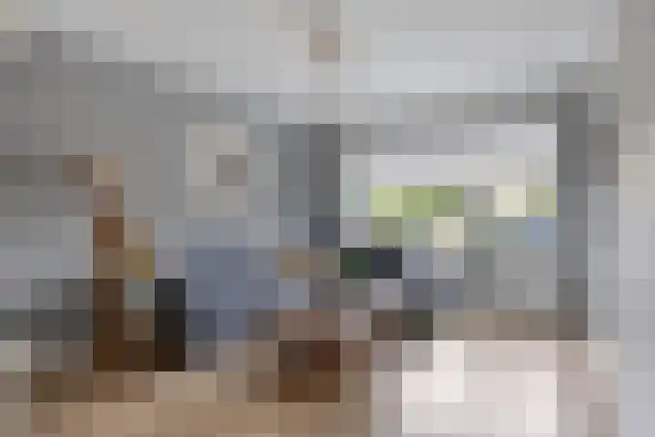 Marie Curielaan 15 IJsselmuiden thumbnail 7
