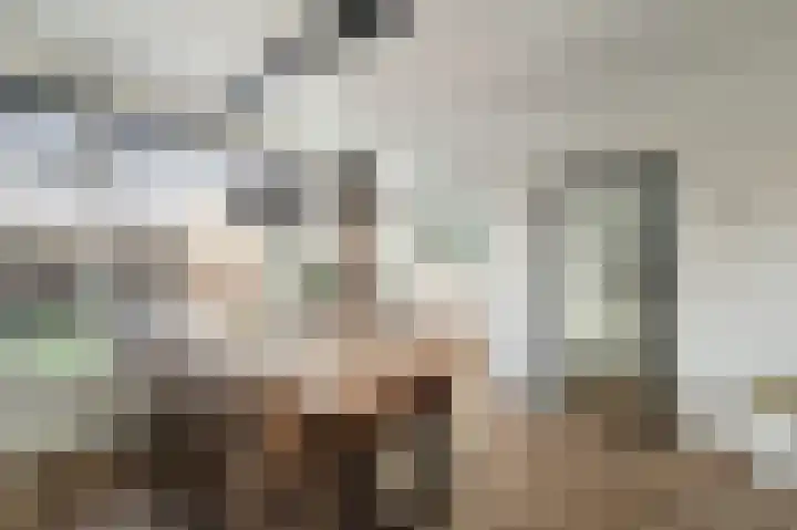 Marie Curielaan 22 IJsselmuiden thumbnail 17