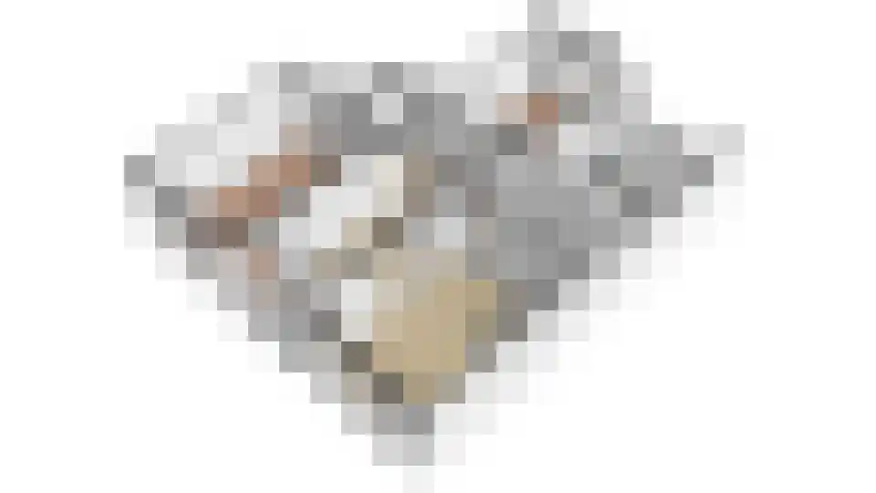 Marie Curielaan 36 Utrecht thumbnail 46