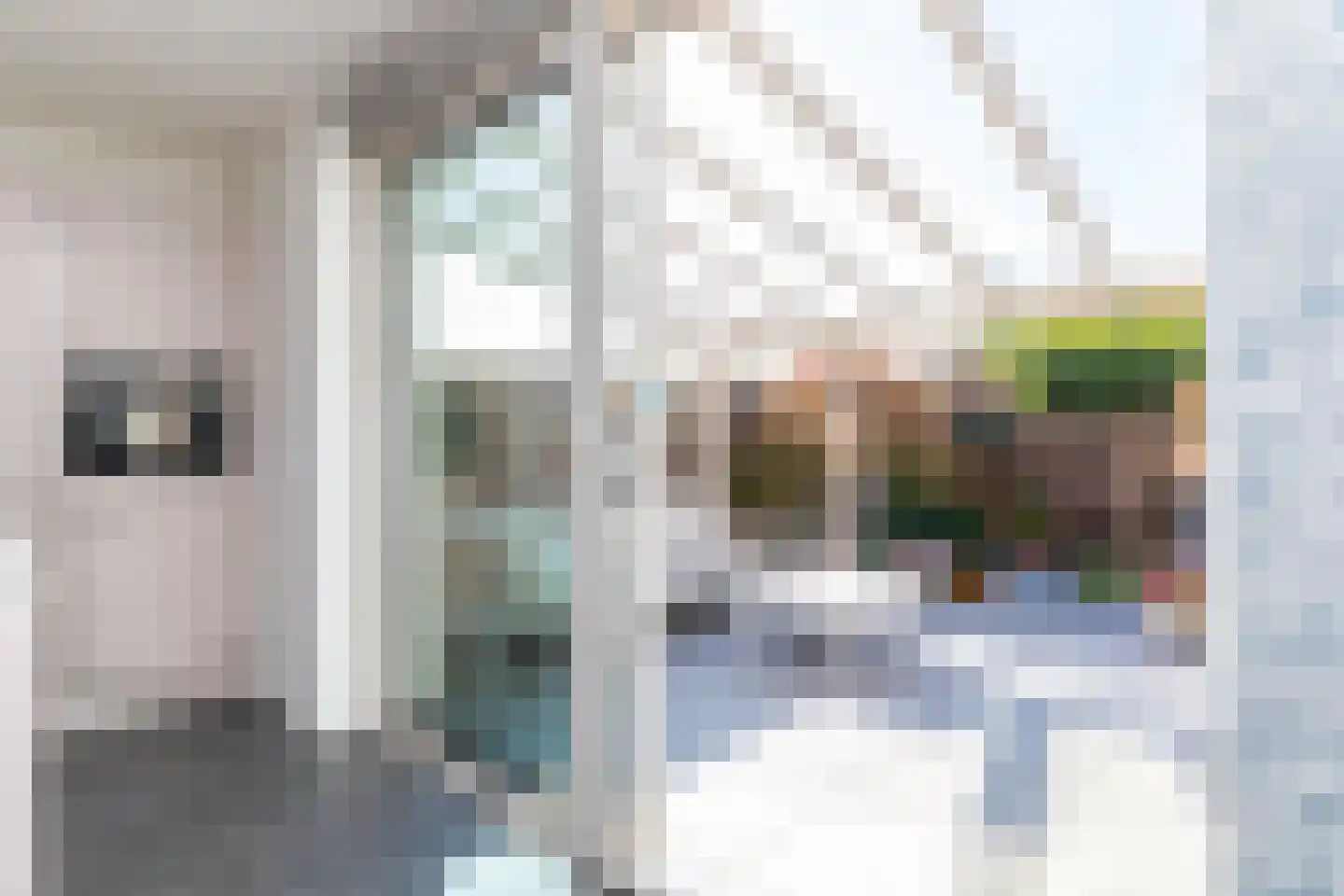 Marie Curielaan 47 Almere thumbnail 28
