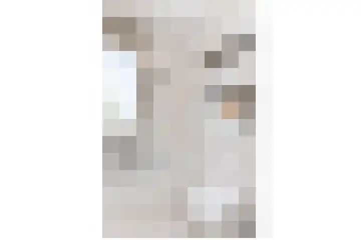 Marie Curielaan 55 Almere thumbnail 38