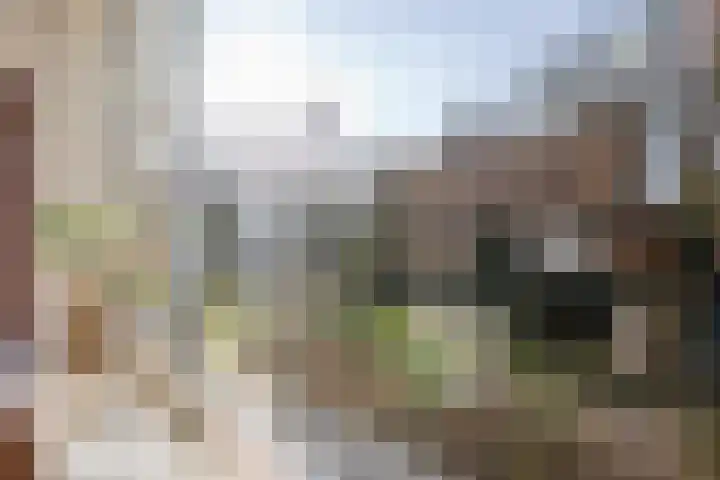 Marie Curielaan 58 Utrecht thumbnail 11