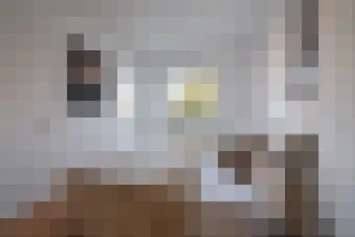 Marie Curielaan 58 Utrecht thumbnail 22