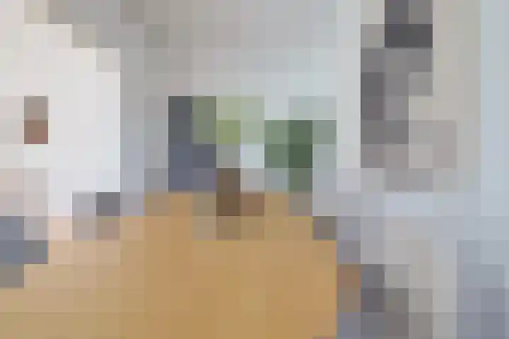 Marie Curielaan 58 Utrecht thumbnail 9
