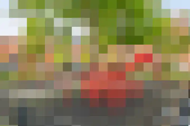 Marie Curielaan 66 Utrecht thumbnail 23
